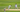 Cricket Review 2008