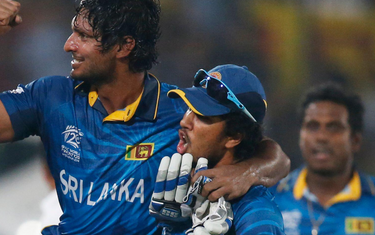 Cricket Review 2014