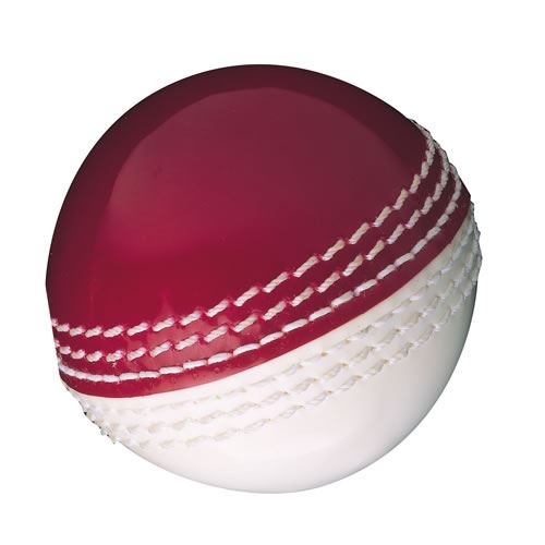 Gunn and Moore Skills Cricket Ball