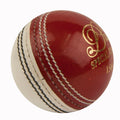 Dukes Special coaching Cricket ball