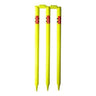 Gray-Nicolls Neon Club Stump