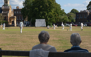 Cricket Review 2020