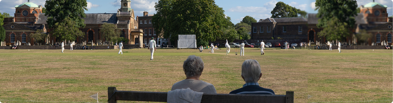 Cricket Review 2020