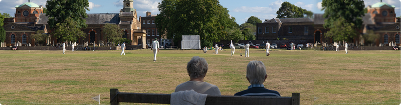 Cricket Review 2020