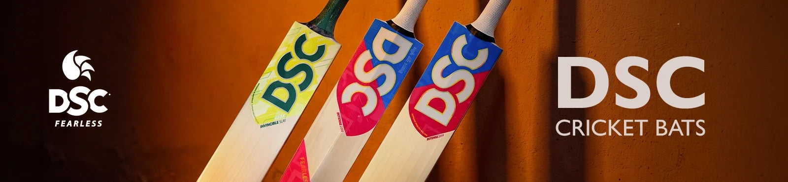 DSC Cricket Bats