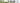 Kookaburra Cricket Bats