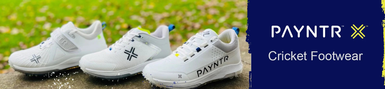 Payntr