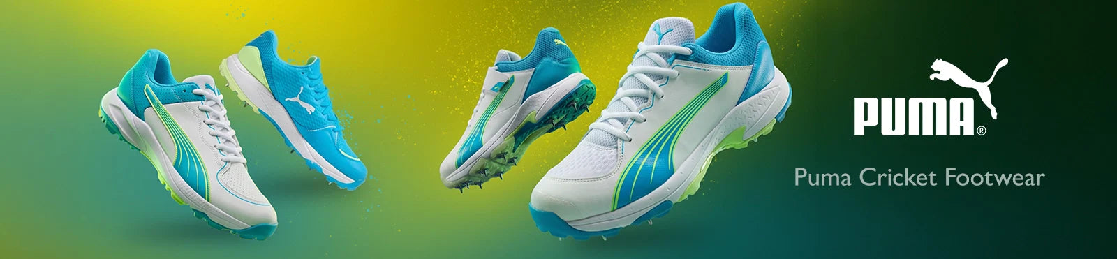 Puma Cricket Footwear