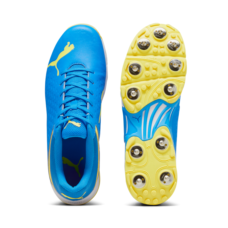 Puma 22.2 Spike Cricket Shoes - 2023