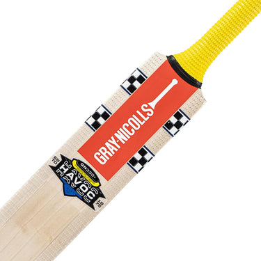 Gray-Nicolls Havoc HB317 GN330+ Junior Cricket Bat