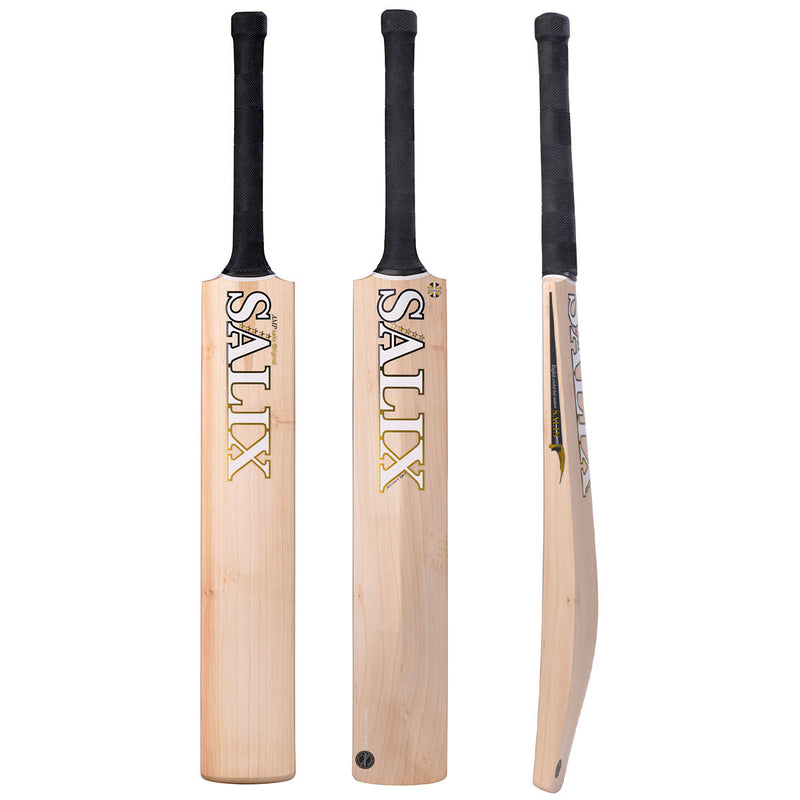 Salix Amp Performance Cricket Bat - 2025