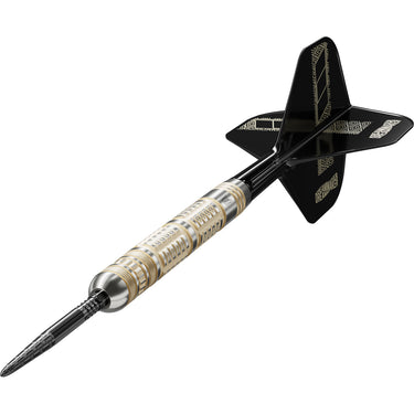 Target Dimitri van den Bergh 95K 95% Swiss Steel Tip Darts