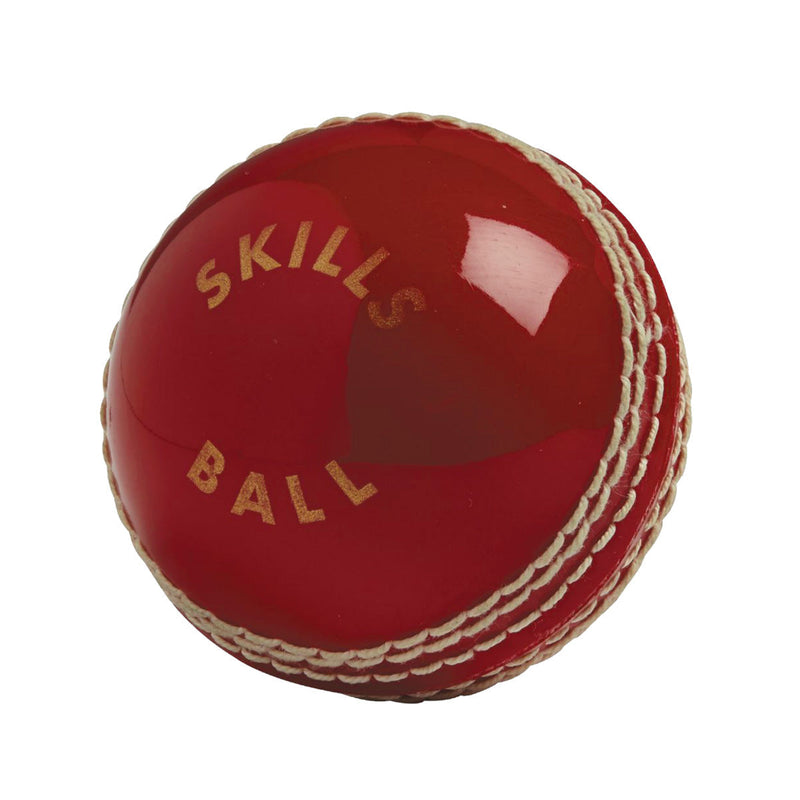 Gunn & Moore BS55 Skills Cricket Ball