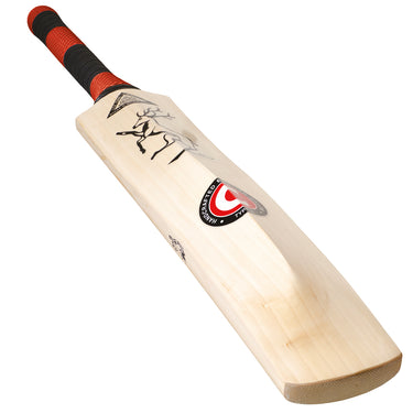 Hunts County Insignia Super Select Cricket Bat - 2025