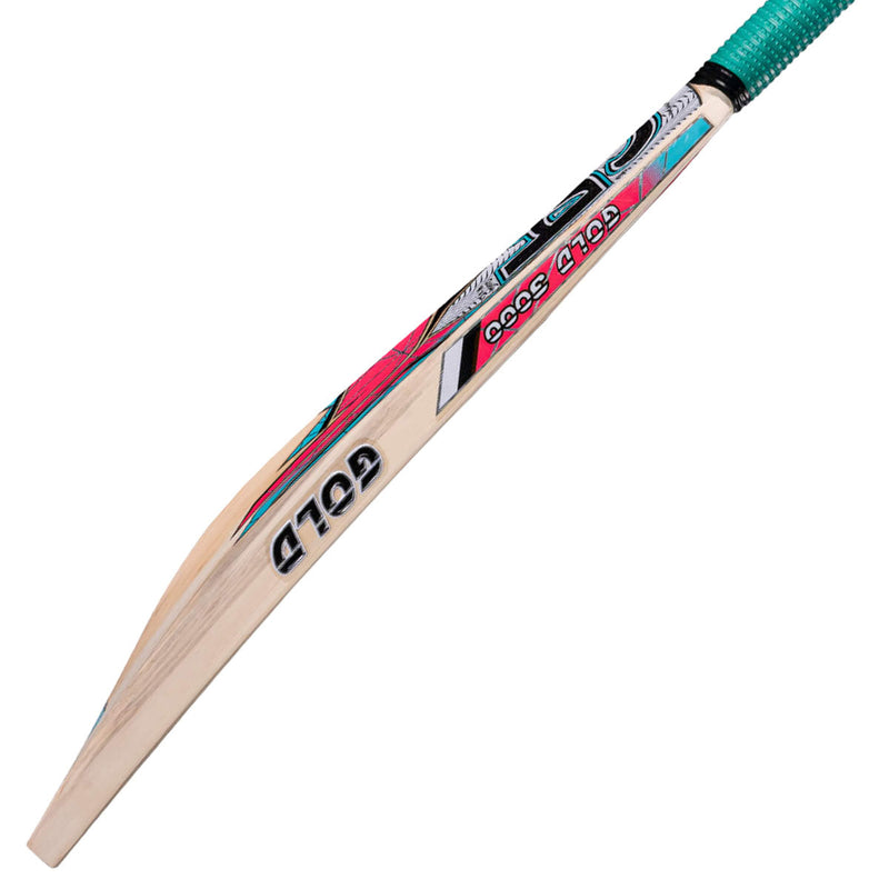 CA Gold 3000 Cricket Bat