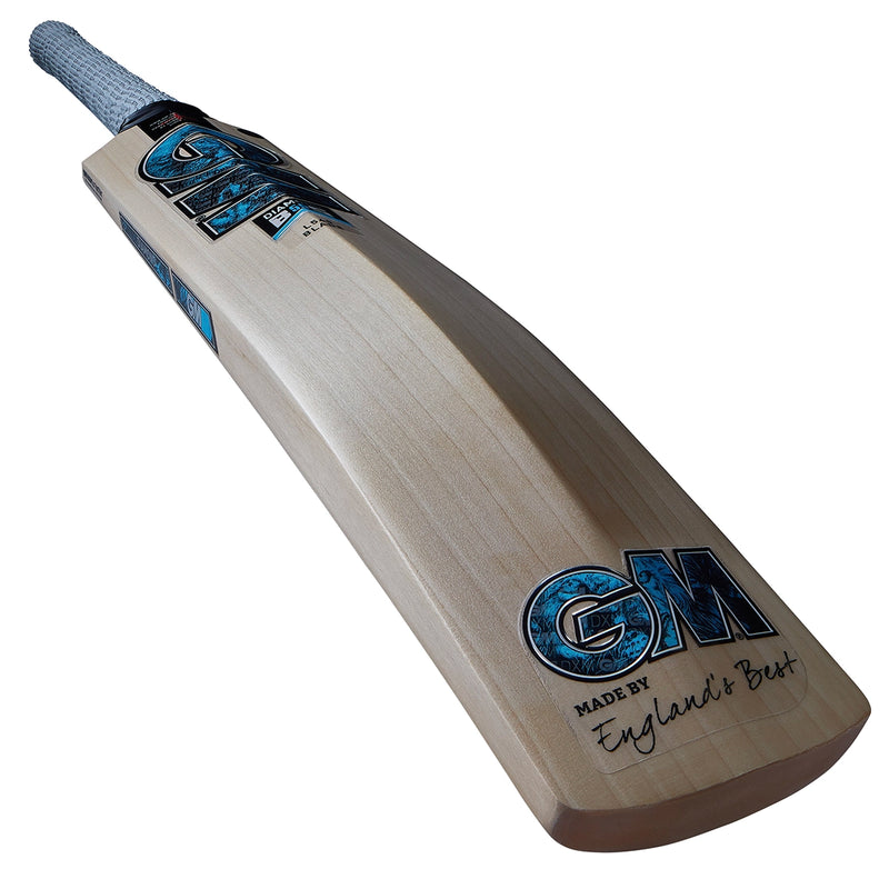Gunn & Moore Diamond DXM Signature Cricket Bat - 2024