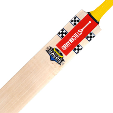 Gray-Nicolls Havoc HB317 Test V Lite Cricket Bat