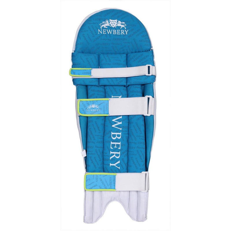 Newbery Pulse Cricket Batting Pads