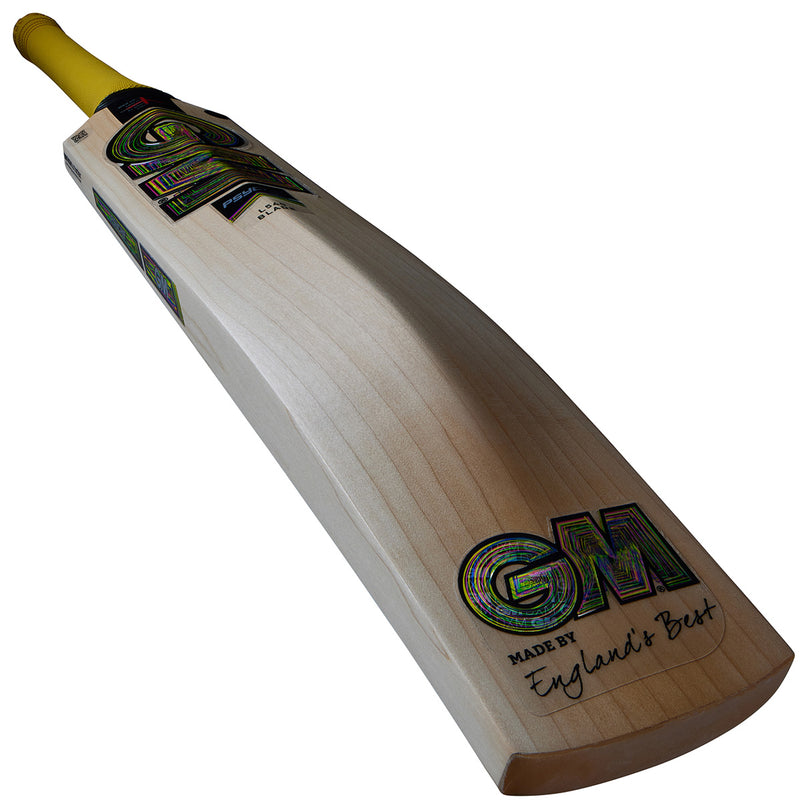 Gunn & Moore Psyche DXM Original Junior Cricket Bat