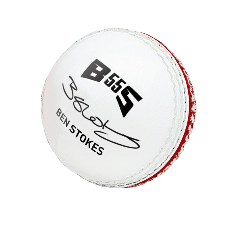 Gunn & Moore BS55 Skills Cricket Ball