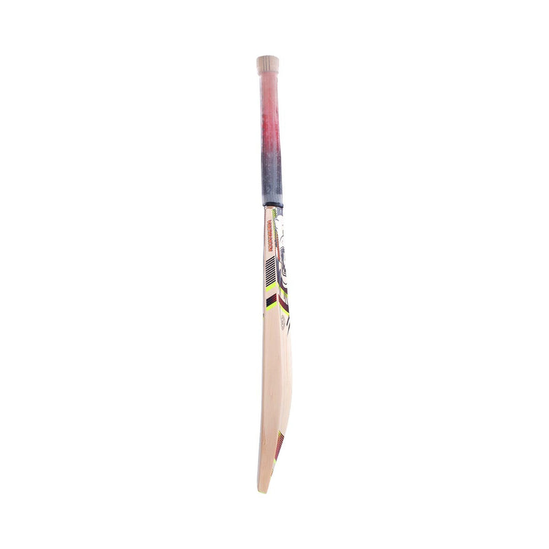 Kookaburra Beast 3.1 Cricket Bat - 2023