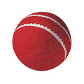 Gunn & Moore First Cricket Ball