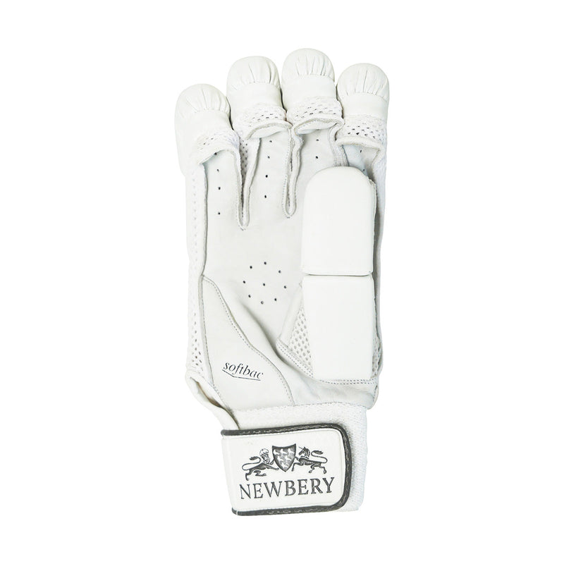Newbery 5* Cricket Batting Gloves