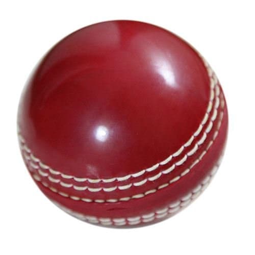 Bull Garden Cricket Ball
