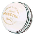 Gunn & Moore Maestro Cricket Ball  White