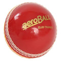 Aero Trainer Cricket Ball Main
