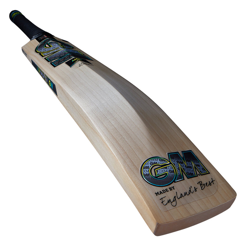 Gunn & Moore Aion DXM 606 Cricket Bat