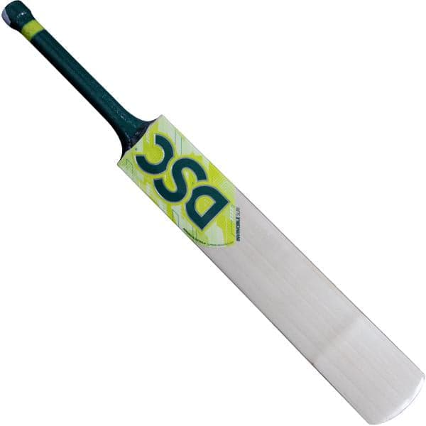 DSC Invincible Pro Cricket Bat front